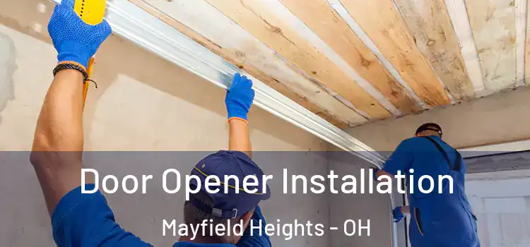 Door Opener Installation Mayfield Heights - OH