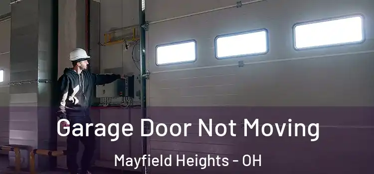  Garage Door Not Moving Mayfield Heights - OH