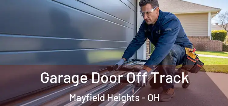  Garage Door Off Track Mayfield Heights - OH