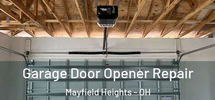  Garage Door Opener Repair Mayfield Heights - OH