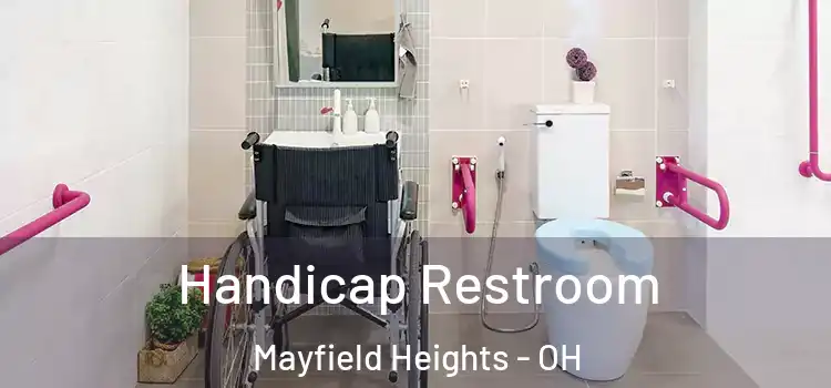 Handicap Restroom Mayfield Heights - OH