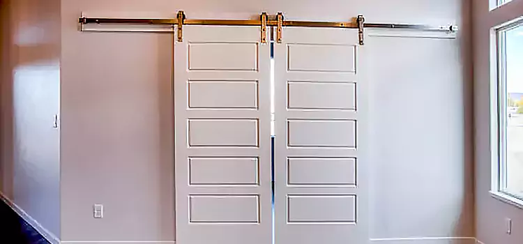 Glass Barn Door with Installation Hardware Kit Mayfield Heights