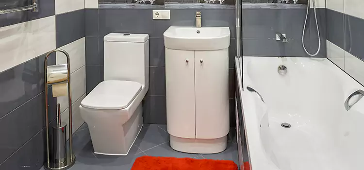 Hansgrohe Shaving Mirror Mayfield Heights